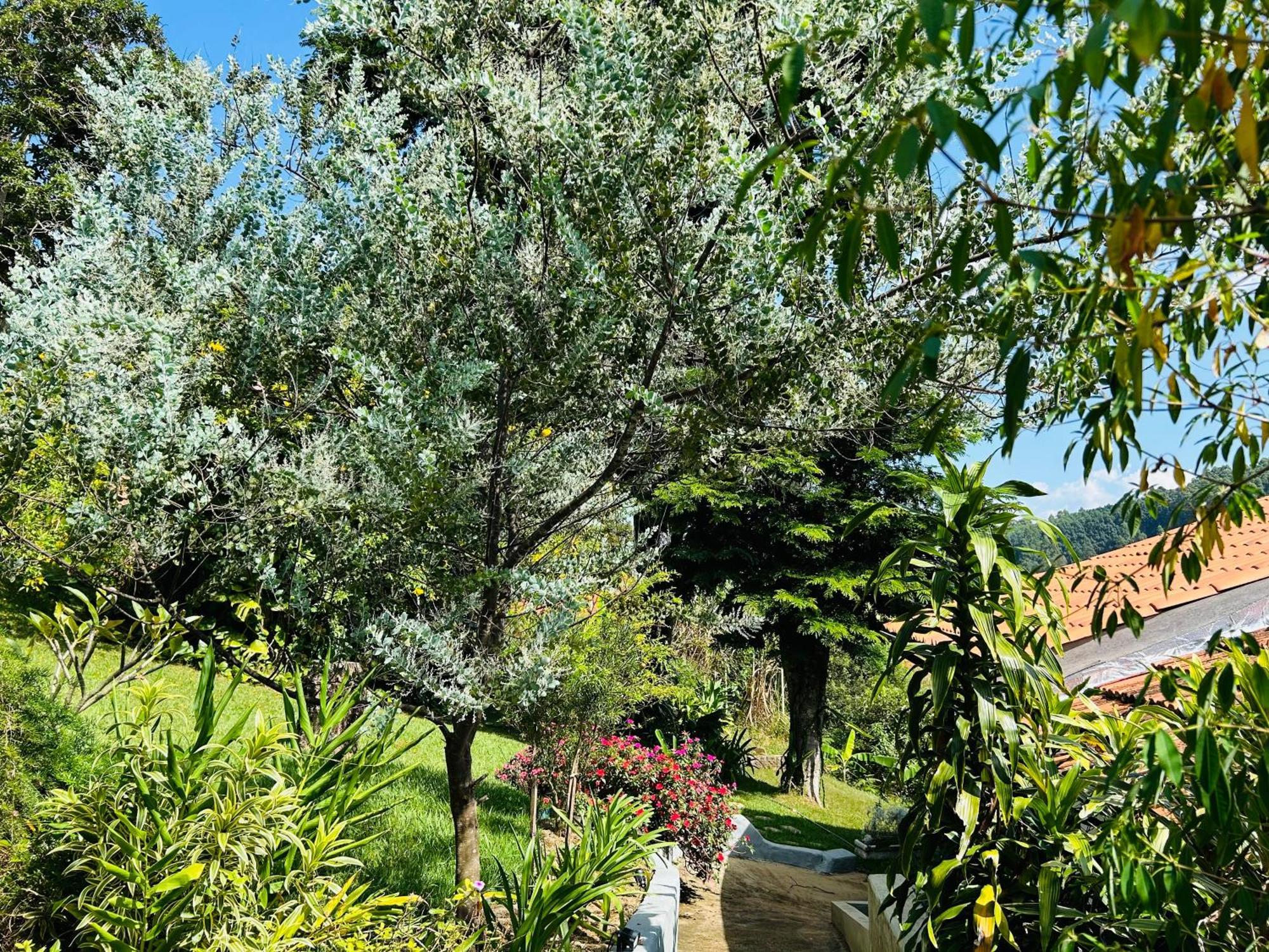 Villa Garibaldi Joanópolis Kültér fotó